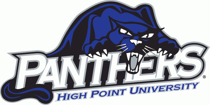 High Point Panthers 2004-2011 Primary Logo diy iron on heat transfer